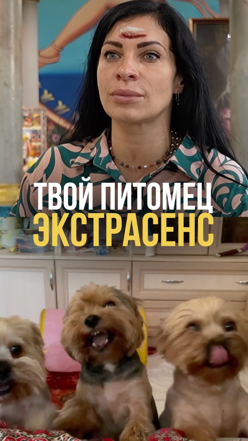 Твой питомец экстрасенс