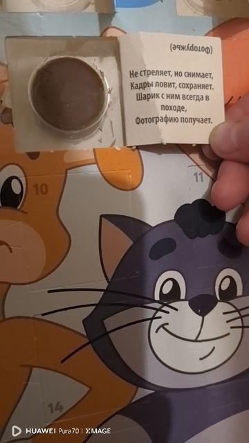 VID_20251207_032916.mp4