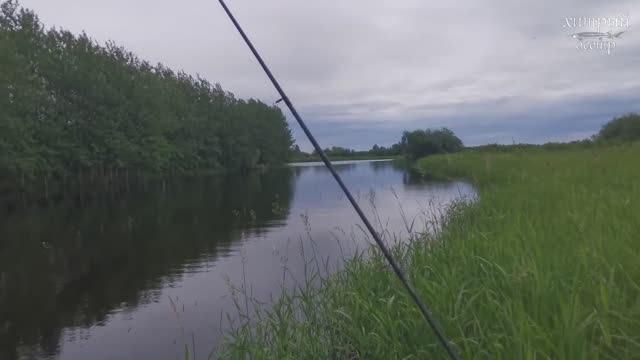 АКТИВНАЯ РЫБАЛКА НА СПИННИНГ