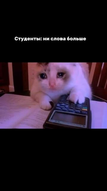 Цель достигнута 💪