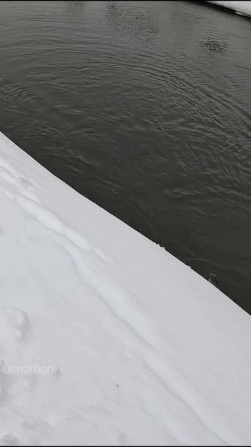 СУДАЧИЩА МАЛОЙ РЕКИ. Рыбалка