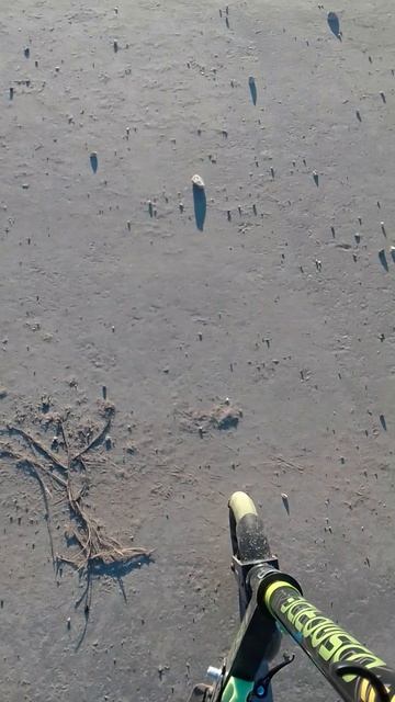 я ездил на самокате и...