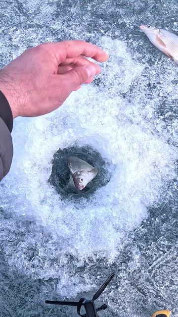 КРЮЧОК РУЛИТ...