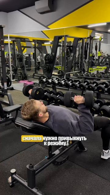 С чего начать новичку в спортзале, чтобы не забить через 2 недели?!

Забирай стартовый гайд - пиши в