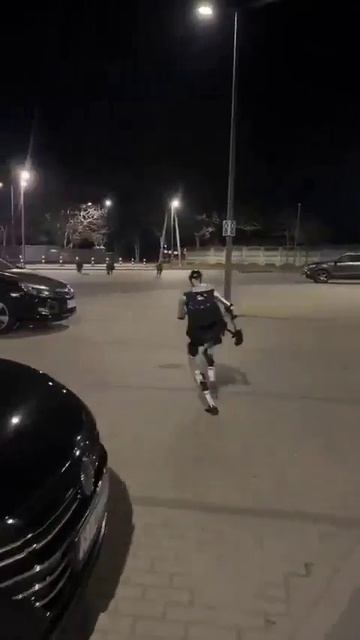 Робот гоняет кабанов)))