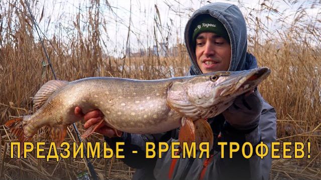 Секреты зимнего джига на реке! На что поймать рыбу мечты? Спиннинг с берега.