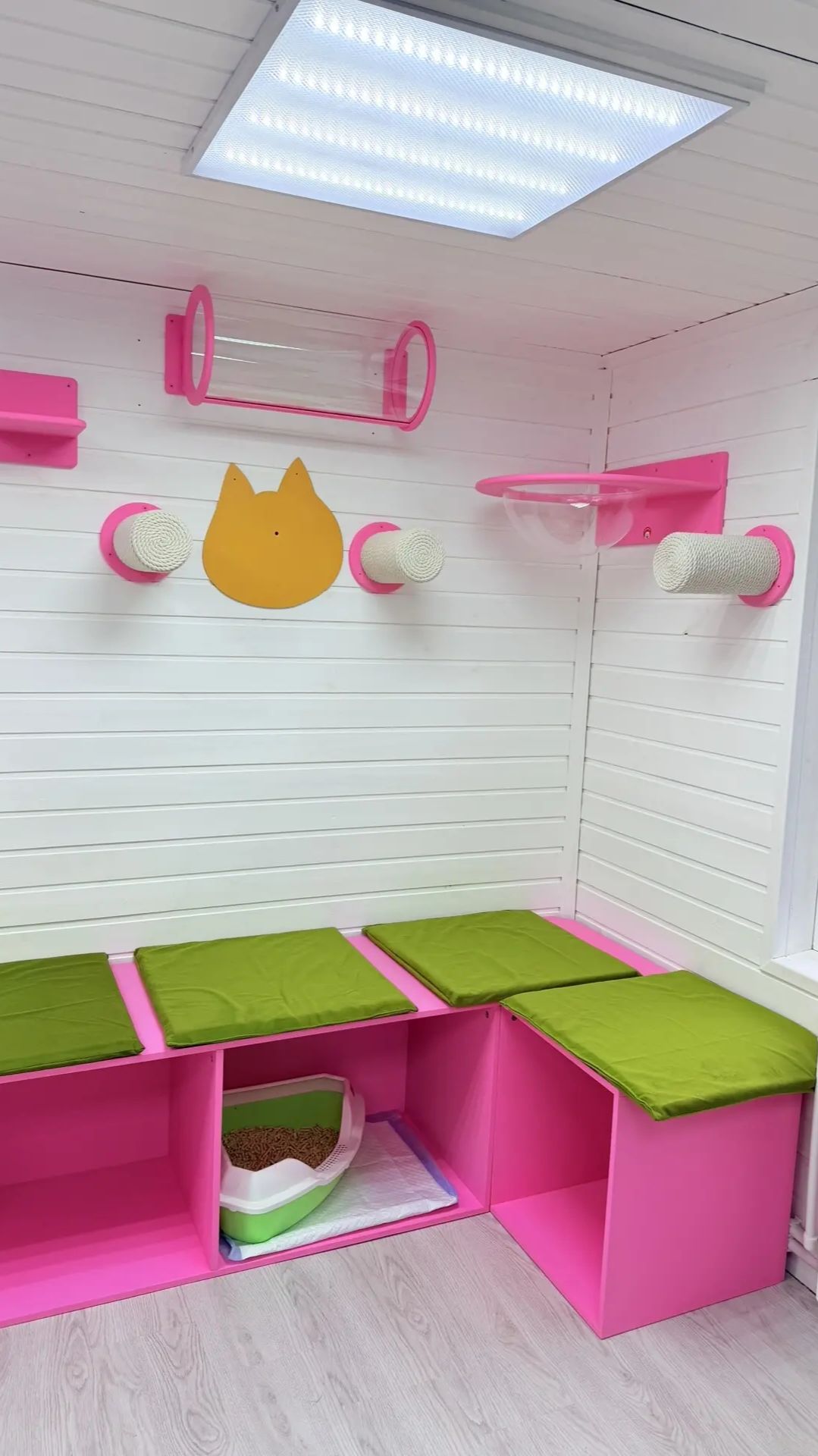 Самое веселое видео на сегодня! Нам прислали из приюта 