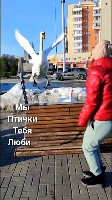 ИИ творит чудеса и Птичкины красавчики