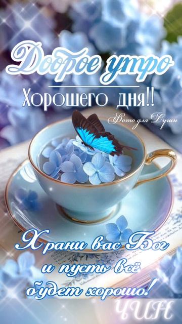Доброе утро! Хорошего дня!