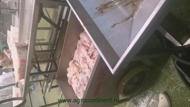 Конвейер пневматический, пневмопушка