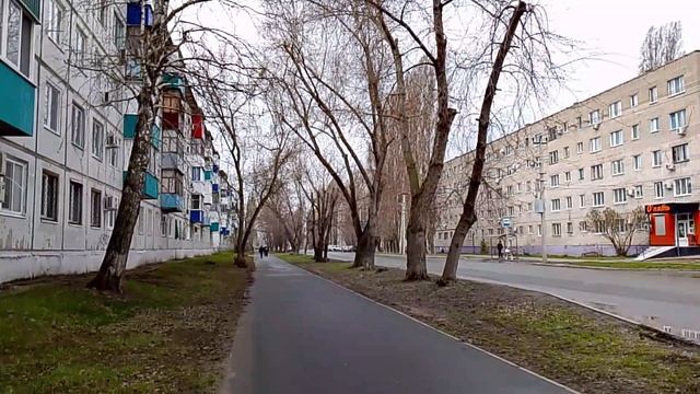 Живём без отопления/Прохожу медицинскую комиссию/Зацвели нарциссы/Груша перезимовала/Жизнь в России