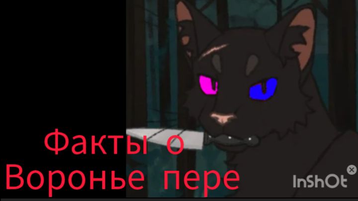 Факты о воронье пере!(перс из моей историй)