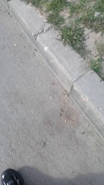 |﹥❤️❤️❤️❤️ Рек иду дамой са школы﹤|люблю вас! Иииии