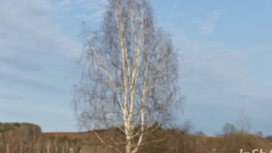 Снег не...растает и так ,но раскидываем!  С соседкой живём дружно. Вынесла помидоры.