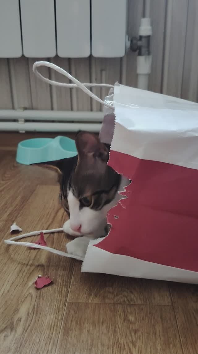 Вкусно тебе, дебил?