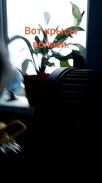 я хз, что снимать