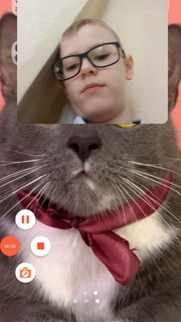 рассказы о себе