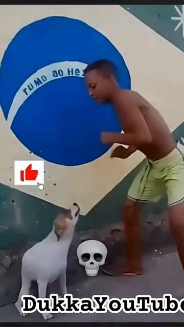 Df74bfe544d7affc4b9b0512f402da96