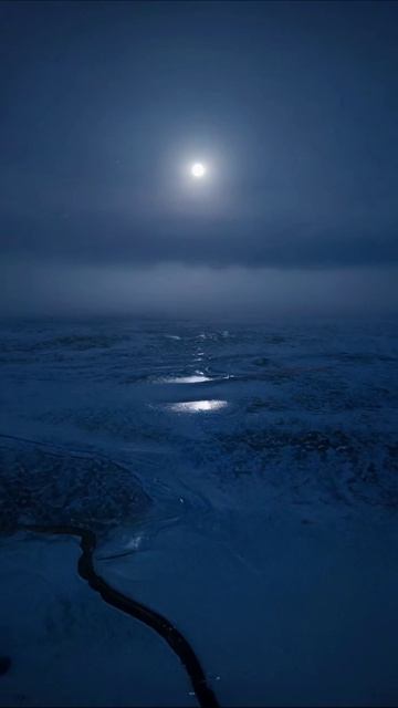 Лунные отражения на снегу #природа #ночнойпейзаж #луна