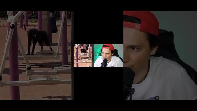 Screen-20260414-184944.mp4