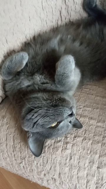 VID_20260414_121846 14.04.2026