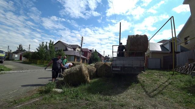 Влог от 27.07.2022