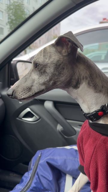 Вот она, сила мысли. 🤣