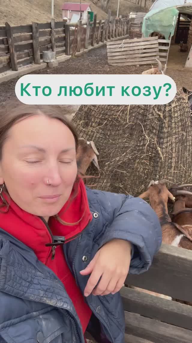 Кто любит козу?