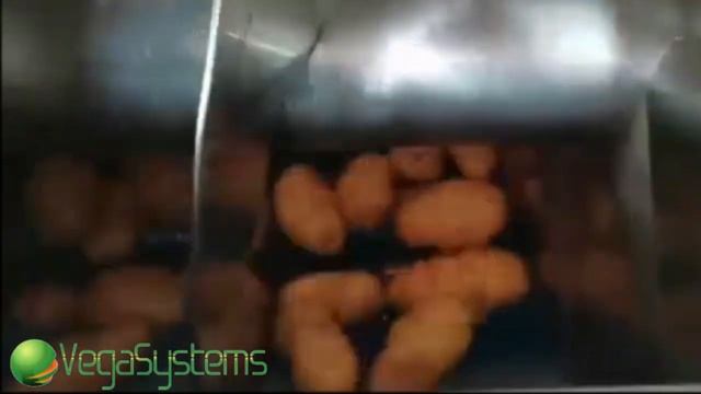 Опрокидыватель контейнеров в составе линии по очистке картофеля Вега/Vega Unloader H 1000