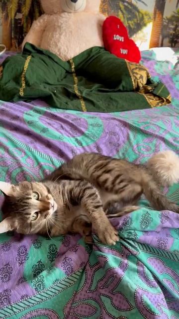 01b5013a6b6f0847ab8f5be4c0637d3b