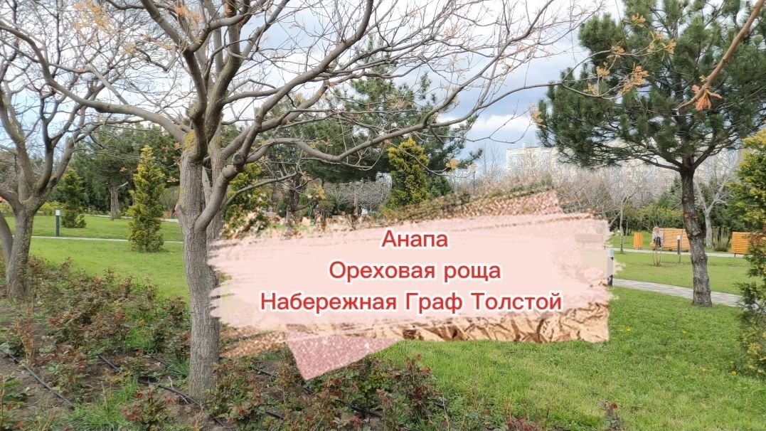 Анапа. Ореховая роща. Набережная Граф Толстой, 13 апреля