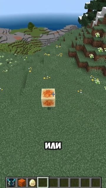 Новая игрушка Вардена  #minecraft #майнкрафт