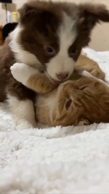 Поспать не дали