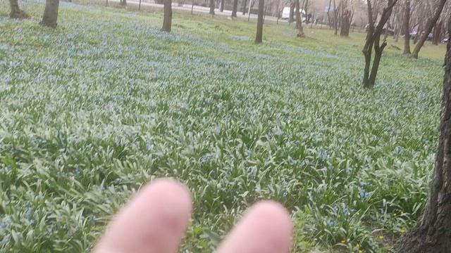 14 апреля магический пасмурный местами дождливый прогноз погоды ⛈️ от волшебника