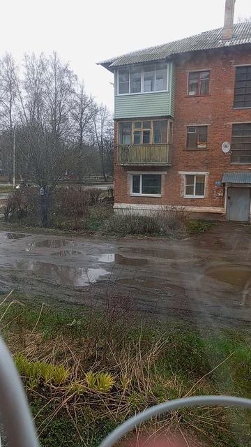 Вернулся спустя 9 месяцев.