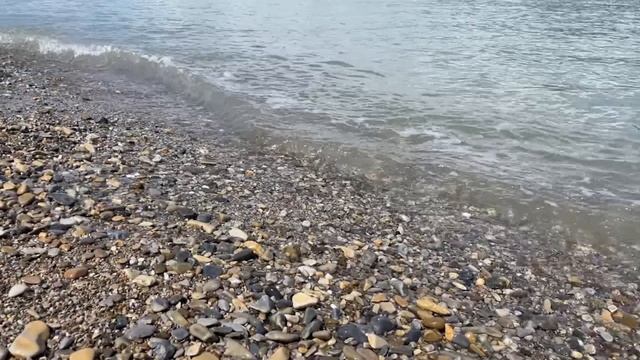 Четверо нижегородцев принимают участие во Всероссийской регате 