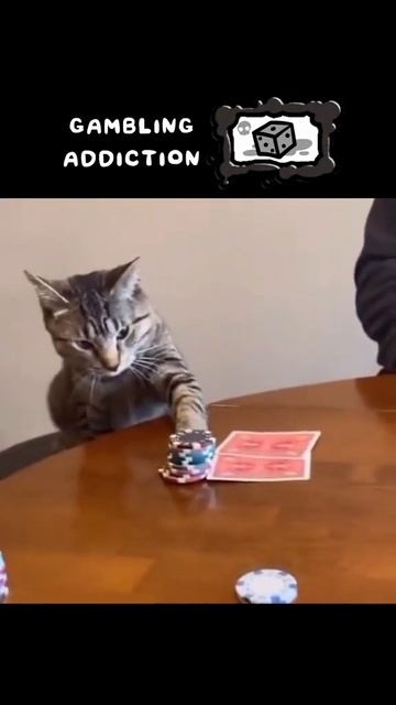 Прохождение мяудженикс на канале