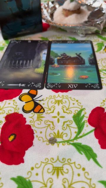 Что Нам нужно знать сейчас?🙏📨🌸