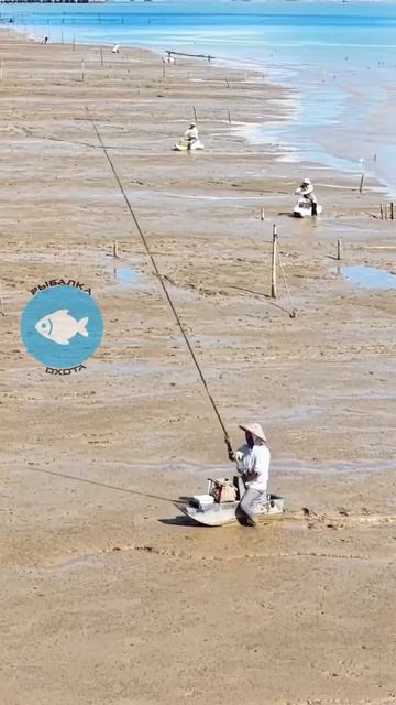 Клип @zatropheem