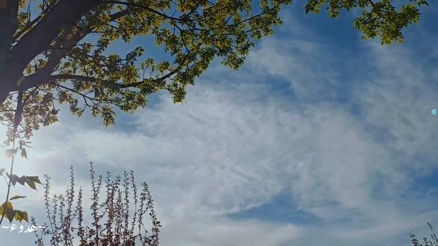 нашид без музыки