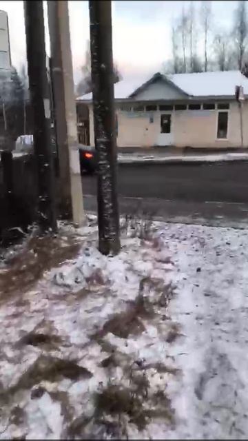 п.Гаврилово, Гончаровское с.п., Выборгский район, Ленинградская обл. у и под а/д Скандинавия