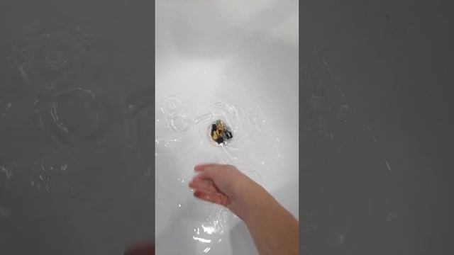 ／|￣ ＼
|
＼ _＿ ノ\
.....＼ __ノ\
.........＼ _ノ \
.............＼ ノ \
.................＼ノ\／￣＼
.............