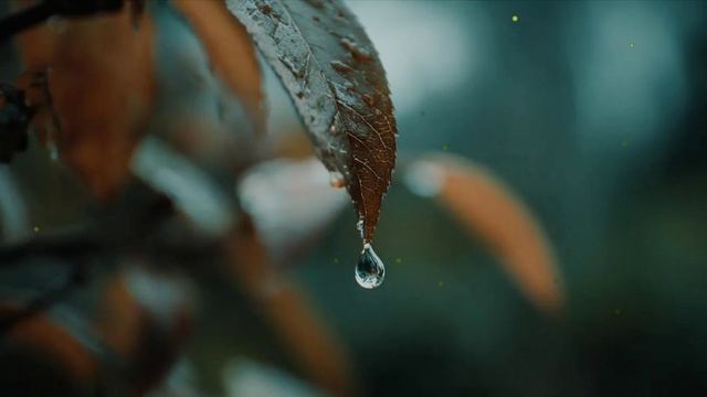 Безответная (ж.в).mp4