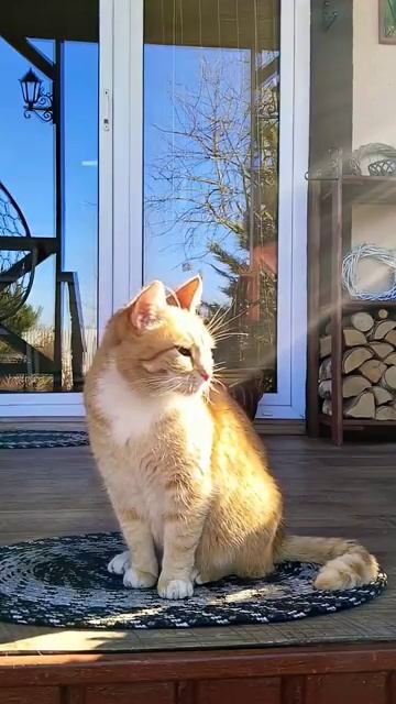 Bb5fa837891650870f033d6e2427d628