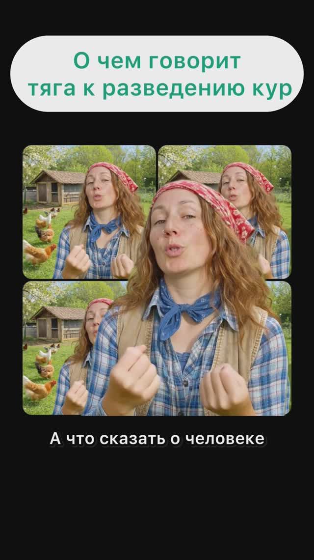 Что значит если тебе нравятся куры?