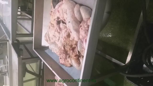 Конвейер пневматический, кишок