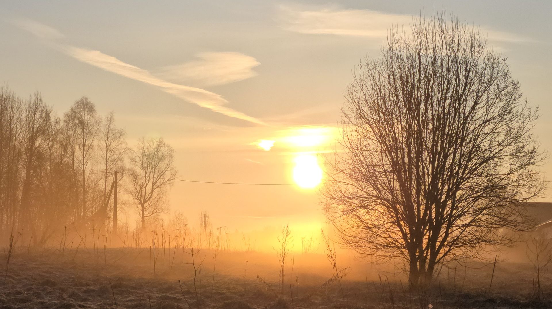 Долгожданное потепление, праздничный вечер и общение дочери с лосем