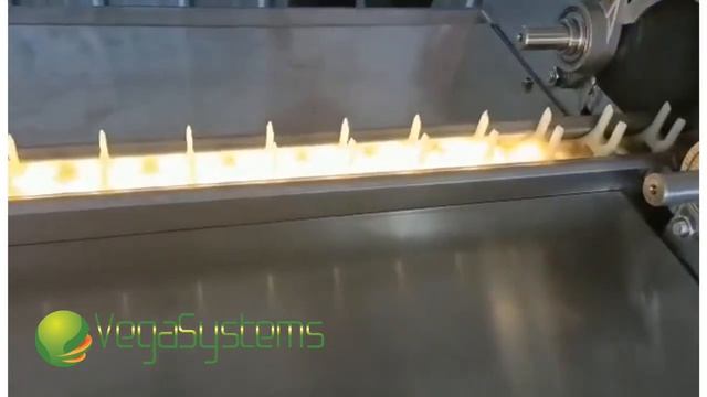 Мойка куриных яиц с возможностью спектрального скрининга Вега/Vega Egg Wash Spectr H 5000