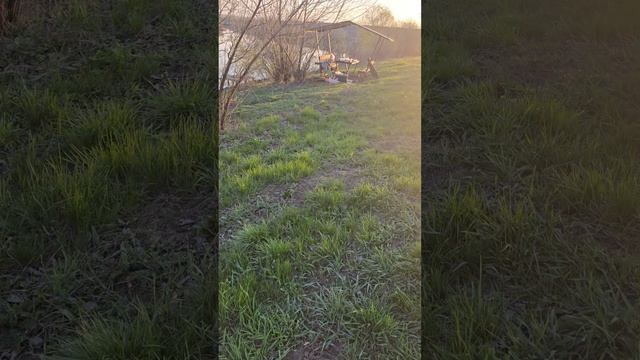 Рыбалка. Дубровка.Белгородская область, Ракитянский район. 19 апреля 2025 г.