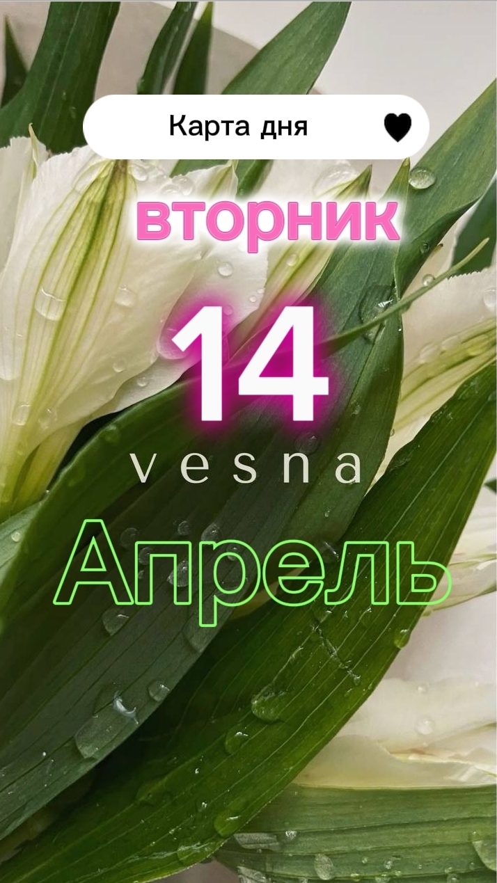 💰6 Монет💰 Карта дня на 14-04-2026. Вторник